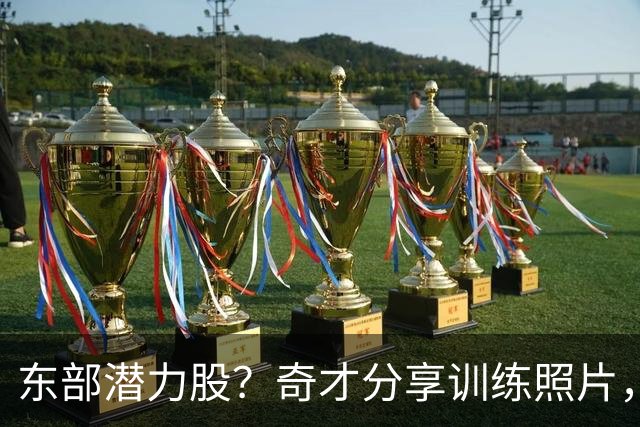 东部潜力股？奇才分享训练照片，迪班萨等新星亮相
